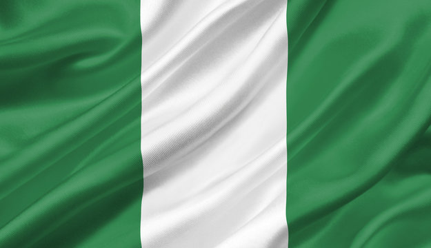  Friends of Nigeria (FON) Europe Statement on the Rising Cases of Kidnappings and Killings in Nigeria